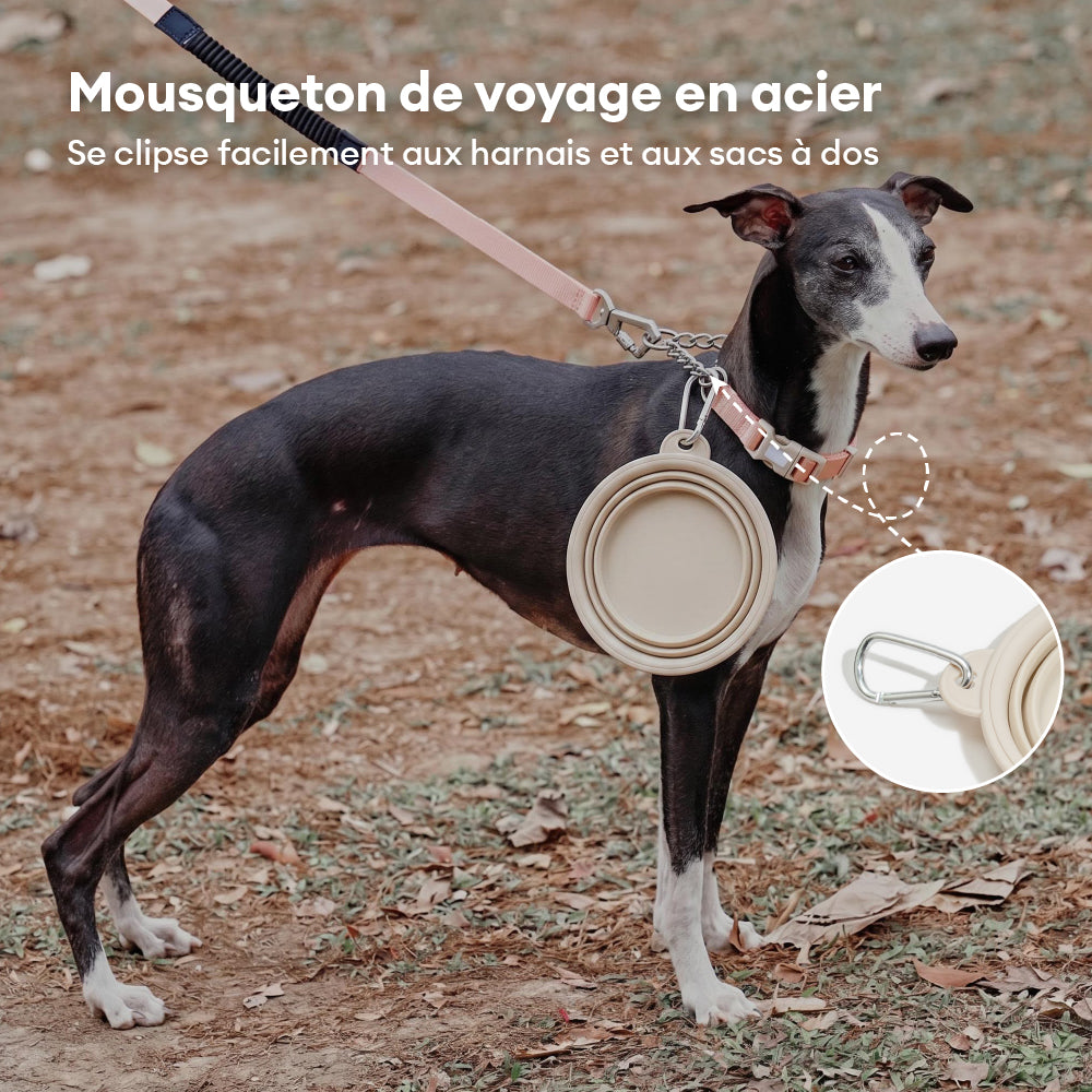Bol en silicone pliable pour chien - Urban Roaming