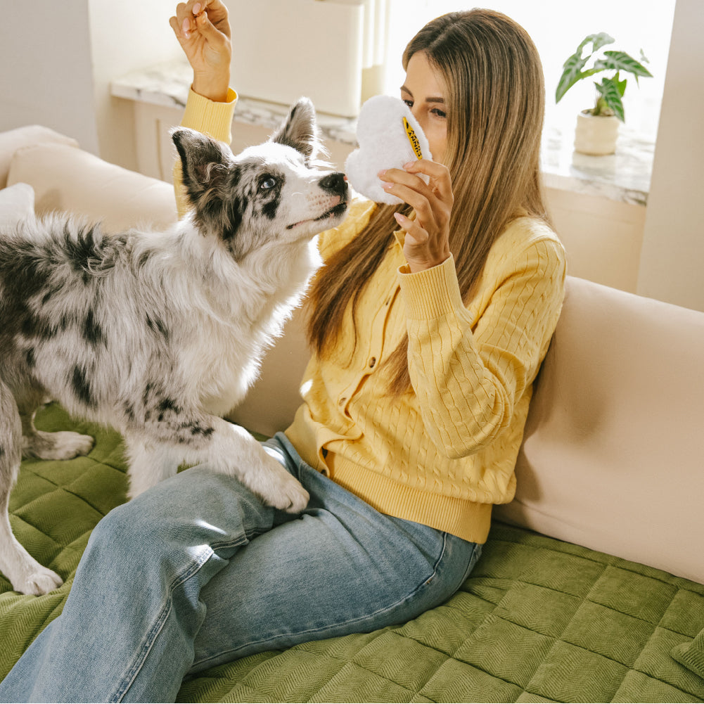 Tapis de protection pour canapé anti-rayures, résistant aux taches, toutes saisons – Rétro