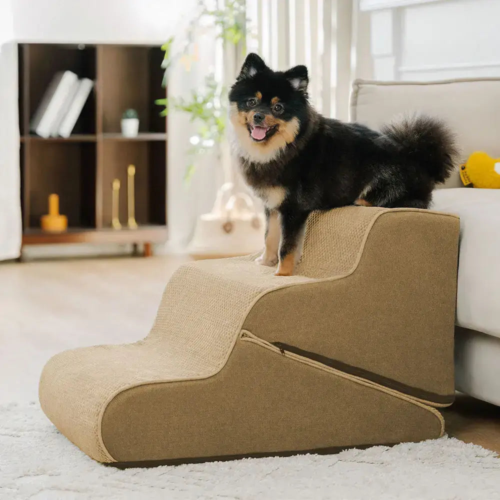 Escaliers pour chien pliables 2 en 1 multifonction avec fonction rampe