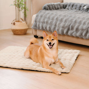 Tapis pour animaux de compagnie en peluche chaude, lavable et portable - ThermoPad