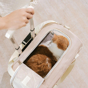 Sac de transport pour animaux à roulettes double couche spacieux pour plusieurs chats