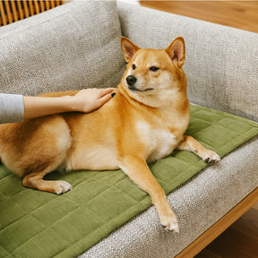 Tapis de protection pour canapé anti-rayures, résistant aux taches, toutes saisons – Rétro