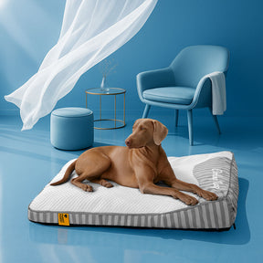 Lit orthopédique pour chien rectangulaire extra large lavable - Sieste rafraîchissante