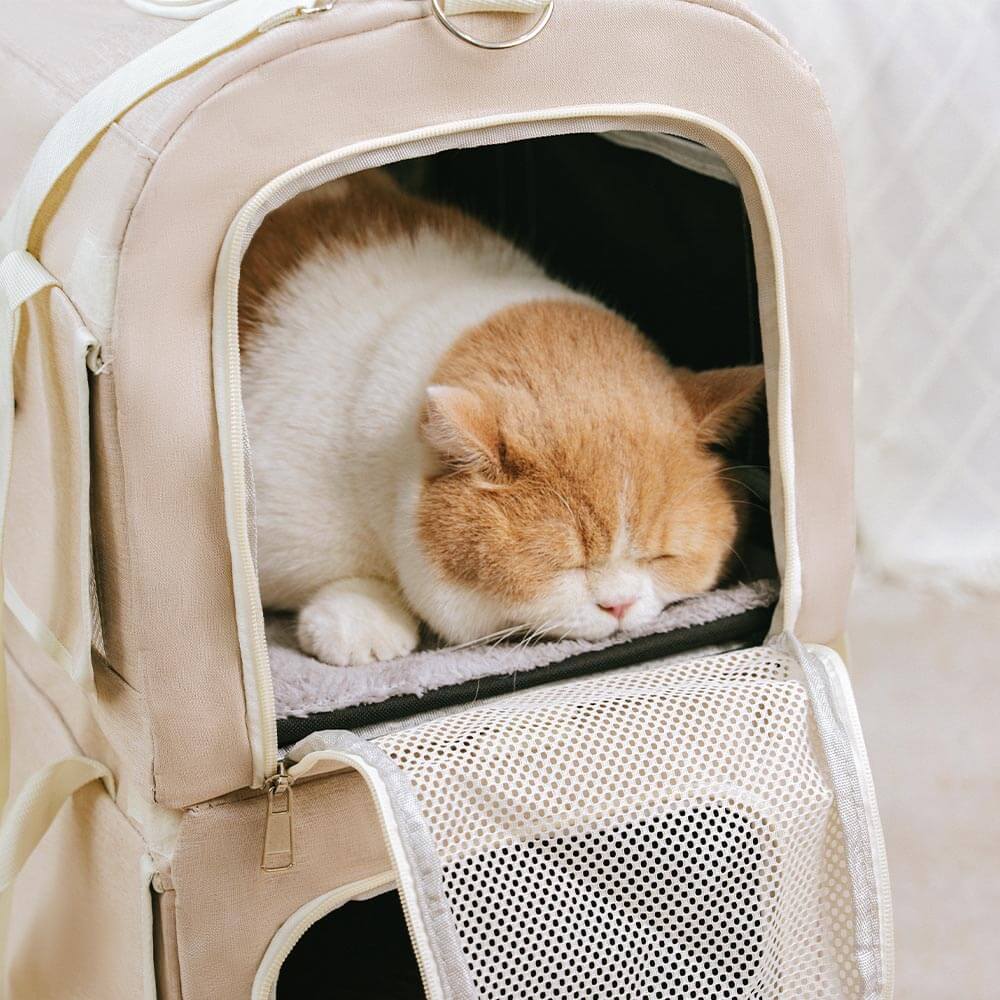 Sac de transport pour animaux à roulettes double couche spacieux pour plusieurs chats