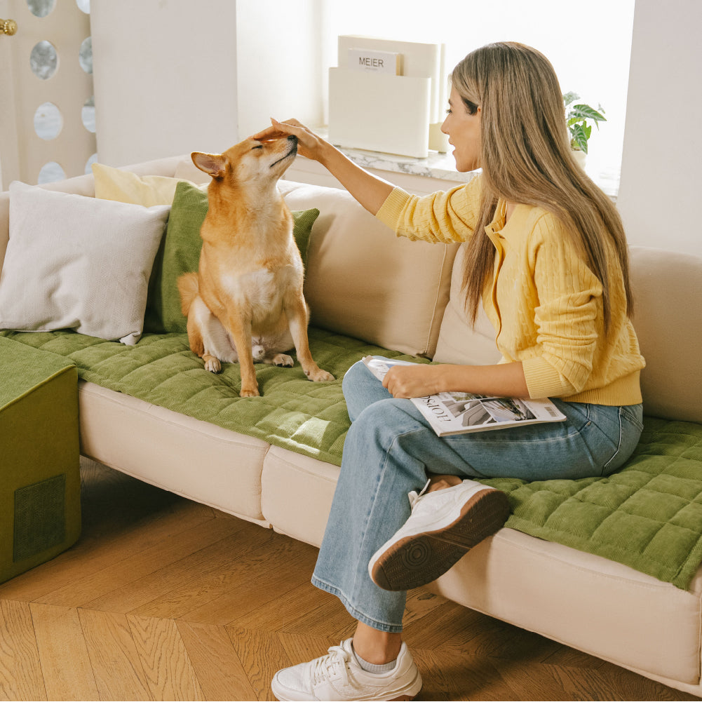 Tapis de protection pour canapé anti-rayures, résistant aux taches, toutes saisons – Rétro