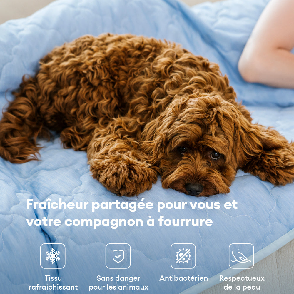 Couverture et Tapis rafraîchissant pour chien double face - Chill Nest