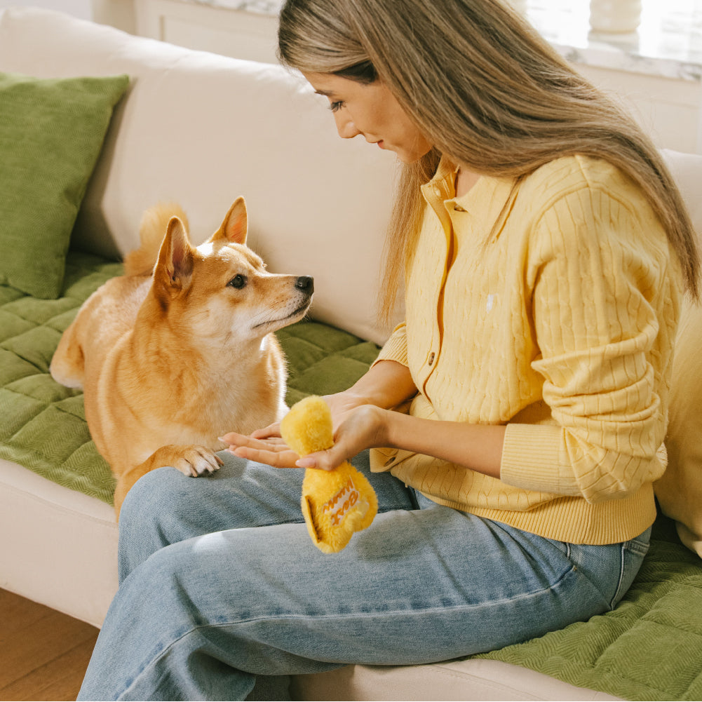 Tapis de protection pour canapé anti-rayures, résistant aux taches, toutes saisons – Rétro