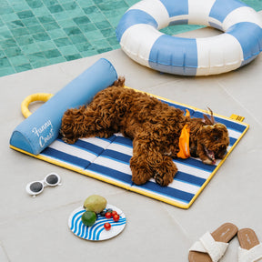 Tapis rafraichissant chien portable pour chat et petit chien - Chill Nest