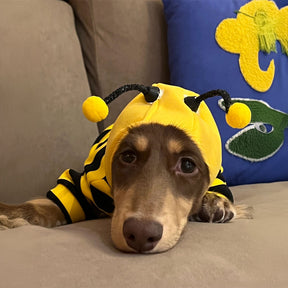 Costume Abeille Amusant et Original avec Capuche pour Chien