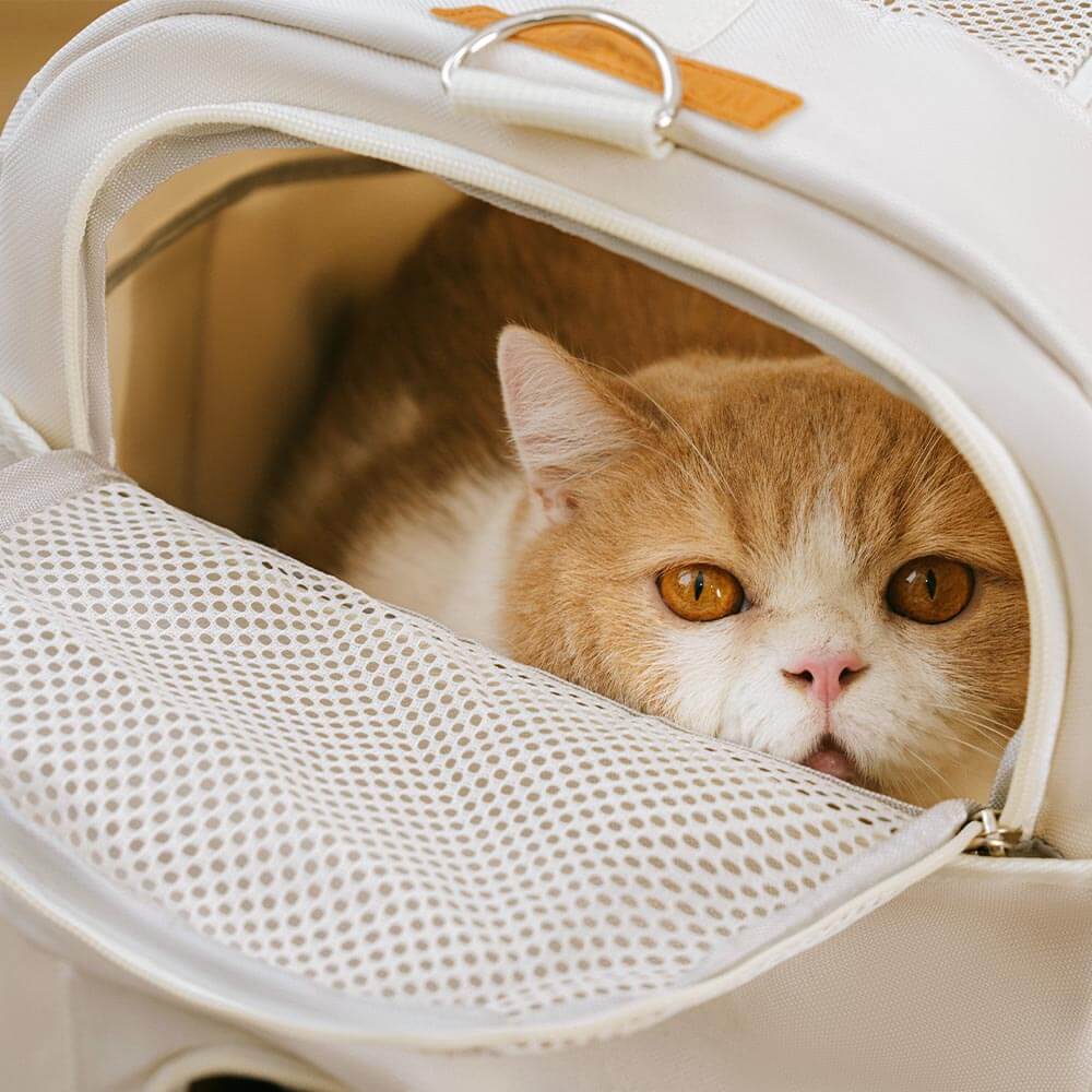 Sac de transport pour animaux à roulettes double couche spacieux pour plusieurs chats