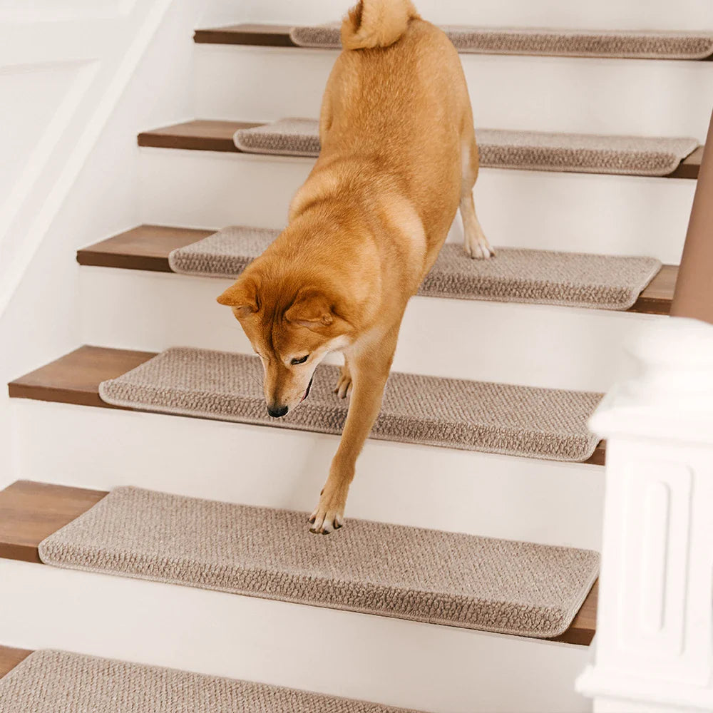 Bandes de protection pour escaliers en faux sisal, anti-rayures, lavables, sans tapis.