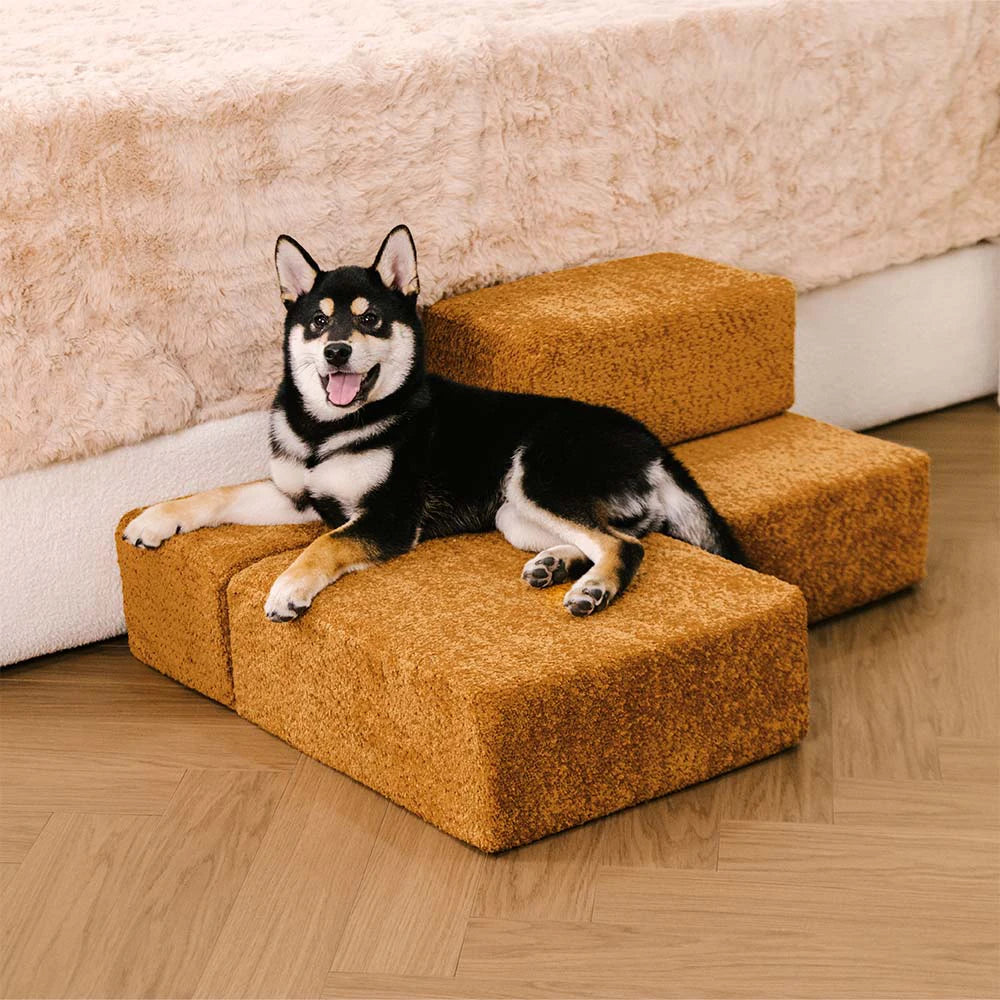 Escaliers pour chiens multi-niveaux pliables en blocs résistants aux rayures en chenille durable