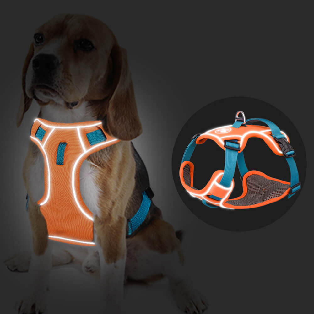 Harnais pour chien antidéflagrant de couleur contrastée et gilet réfléchissant