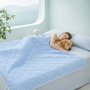 Couverture et Tapis rafraîchissant pour chien double face - Chill Nest
