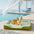Lit Sofa pour Chien Grand et Lavable Orthopédique Tapis Rafraichissant Chien - Extérieur
