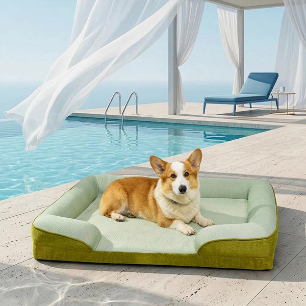 Lit Sofa pour Chien Grand et Lavable Orthopédique Tapis Rafraichissant Chien - Extérieur