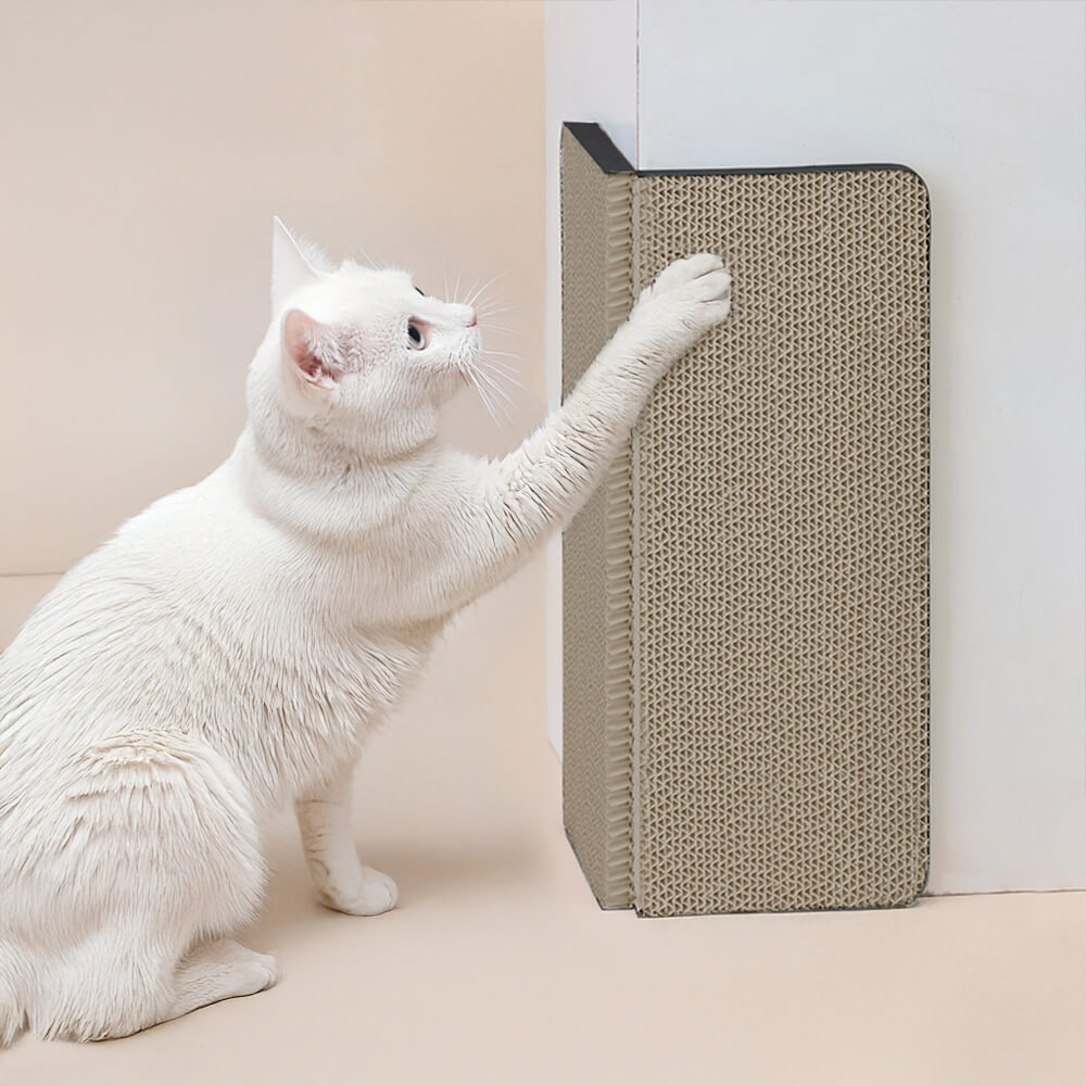 Protecteur d'angle de mur et planche à gratter pour chat résistante aux rayures