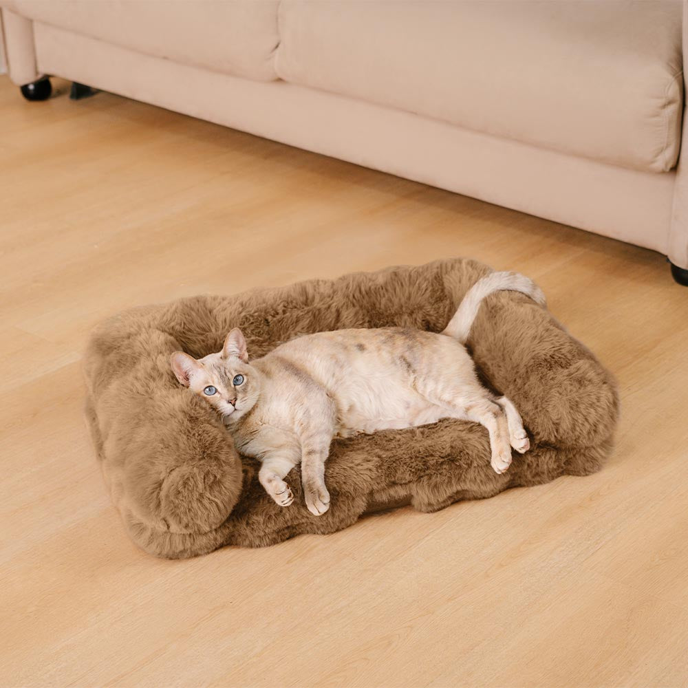 Canapé pour chat en peluche épaisse et douillette apaisante