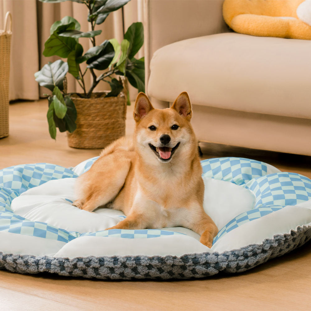 Matelas rond réversible pour chien à double face avec fonction refroidissante