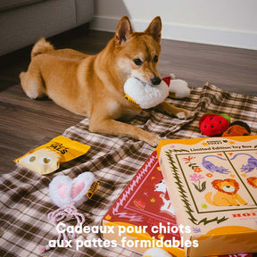 Coffret de jouets en édition limitée FUNNYFUZZY