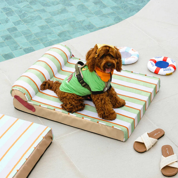 Lit orthopédique tapis rafraichissant chien - Chill Nest