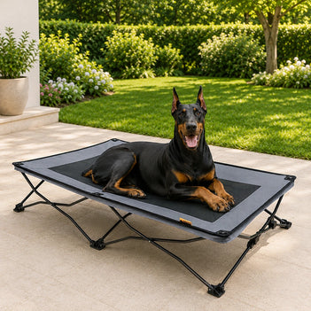 Lit de camp pour chien lit pour chien surélevé et pliable lit rafraîchissant pour animaux - Urban Roaming