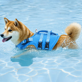 Gilet de sauvetage pour chiens ajustable avec bandes réfléchissantes pour chiens de taille moyenne et grande