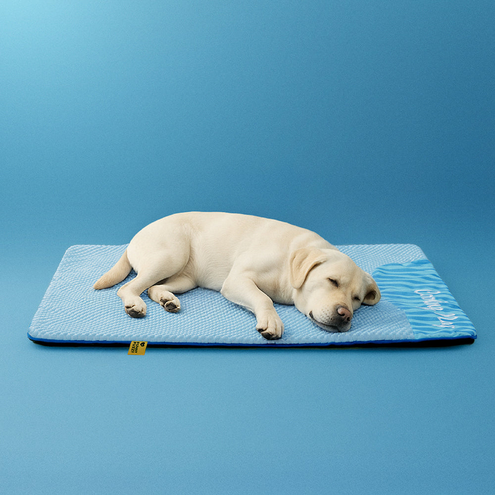 Grand Tapis Rafraichissant Chien Lavable Antidérapant pour Chiens d'Extérieur - Sieste Refroidissante