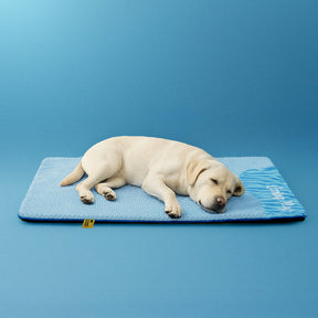 Grand Tapis Rafraichissant Chien Lavable Antidérapant pour Chiens d'Extérieur - Sieste Refroidissante