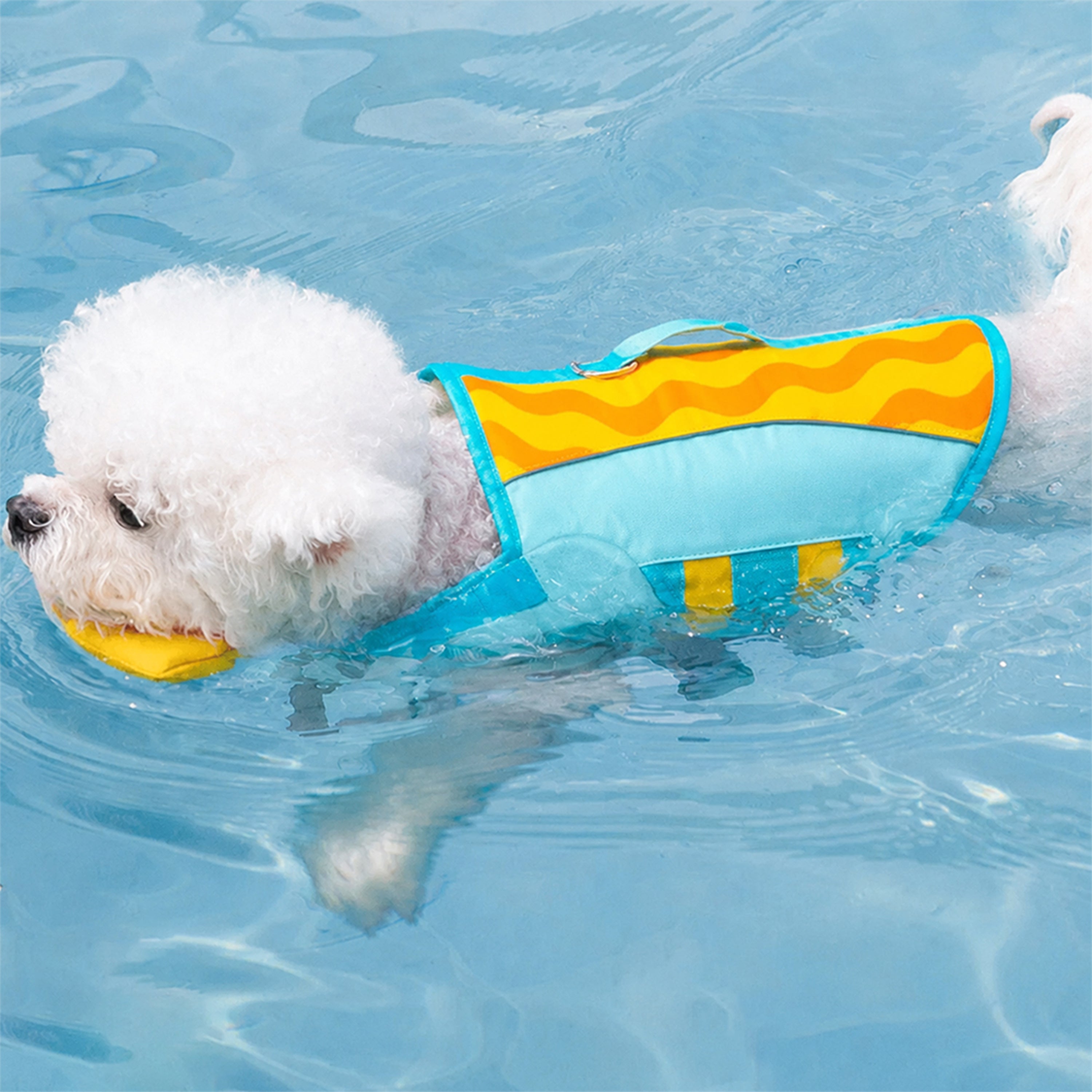 Gilet de sauvetage pour chien à coloris contrastés élégant