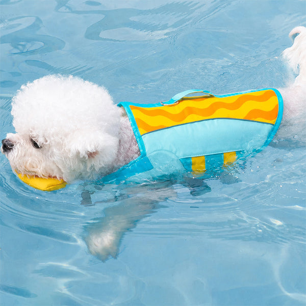 Gilet de sauvetage pour chien à coloris contrastés élégant