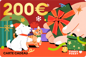 FunnyFuzzy Carte Cadeau 2025
