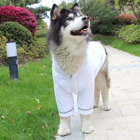 Peignoir à capuche absorbant en microfibre à séchage rapide pour chien