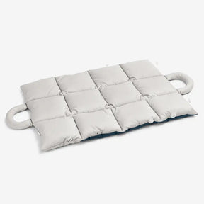 Tapis pour animaux multifonctionnel 2 en 1 résistant à l'eau, sac de transport pour chiots