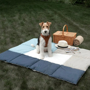 Tapis pour animaux multifonctionnel 2 en 1 résistant à l'eau, sac de transport pour chiots