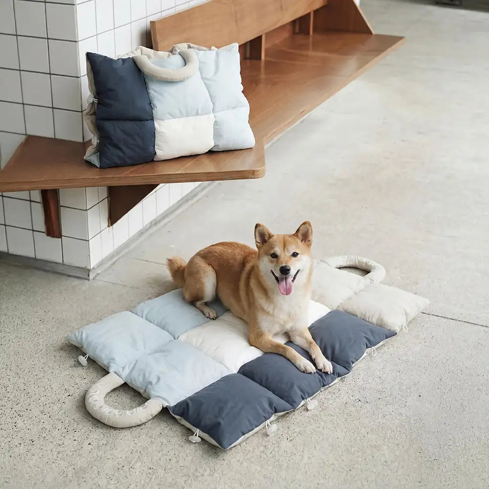 Tapis pour animaux multifonctionnel 2 en 1 résistant à l'eau, sac de transport pour chiots