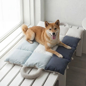 Tapis pour animaux multifonctionnel 2 en 1 résistant à l'eau, sac de transport pour chiots