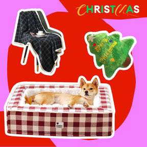 Pack du Lit agréable pour chien classique pour fêtes