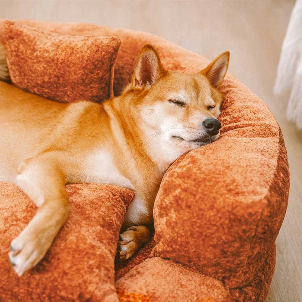 Lit orthopédique pour chien en velours diamant amovible en forme de donut avec coussin - DreamNest
