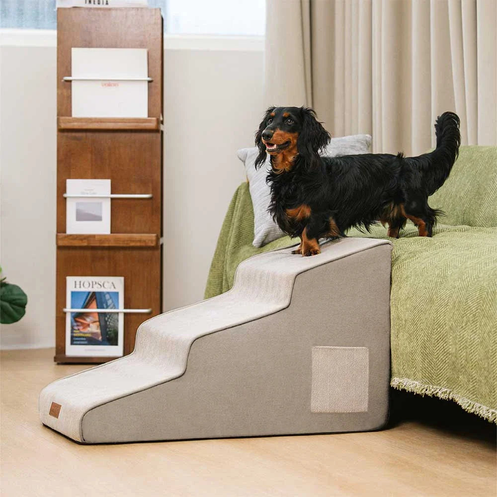 Escalier pour animaux en mousse extra large antidérapant amovible - SafeRamp