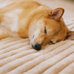 Tapis pour animaux en fausse fourrure de lapin lavable et chaud - ComfyEase