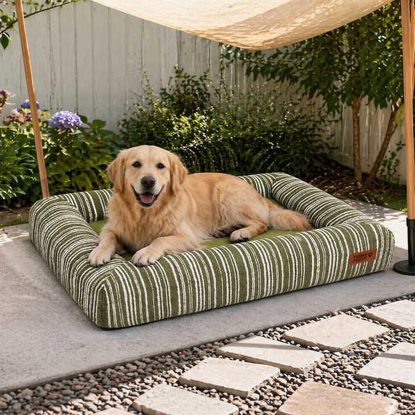 Panier pour chien en mousse à mémoire orthopédique toutes saisons - Funnyfuzzy SnugNest