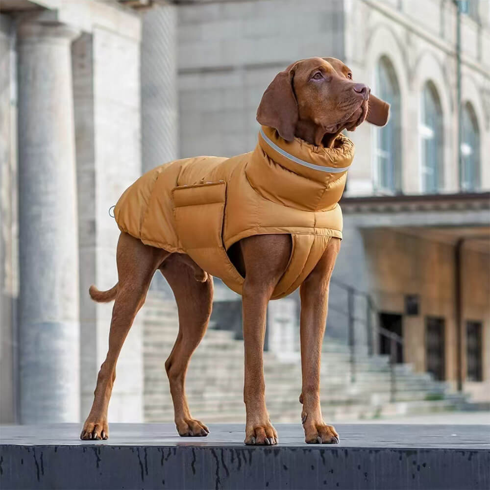 Gilet chaud imperméable et coupe-vent pour un confort hivernal optimal