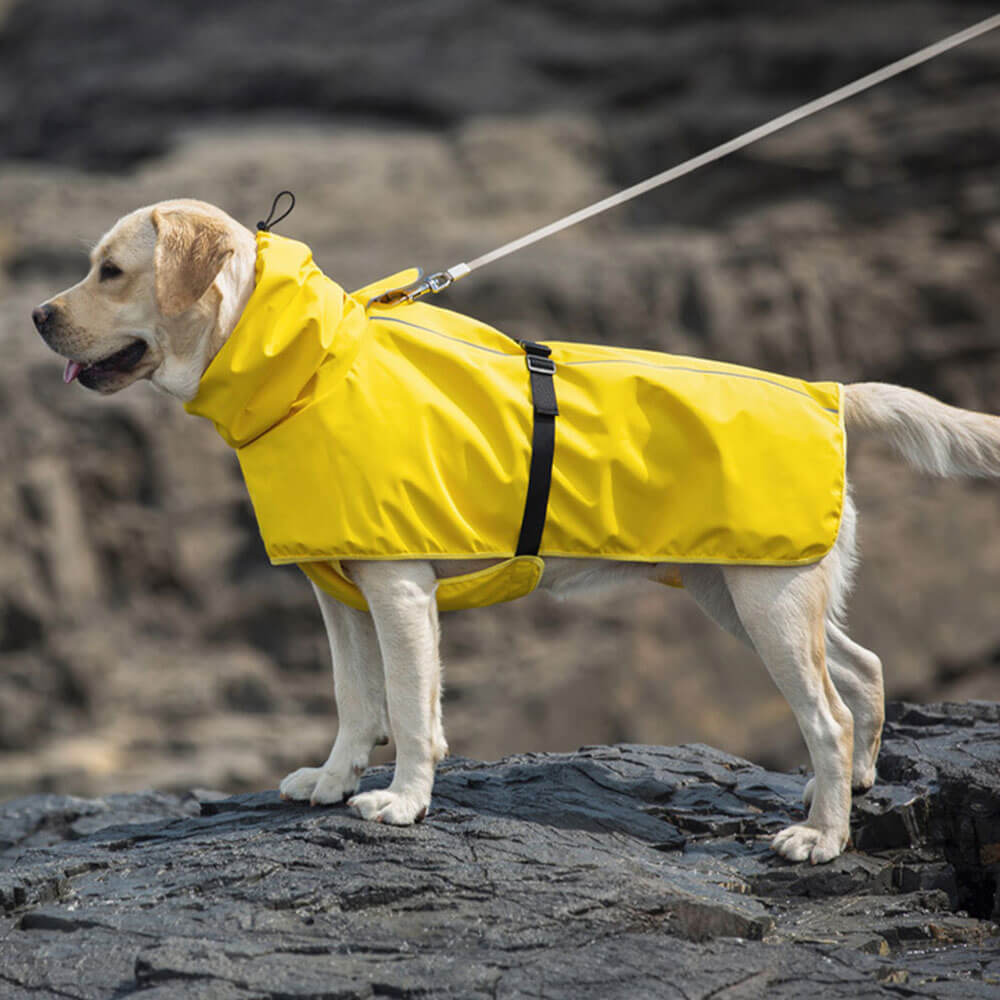 Manteau imperméable pour chien grand format poncho