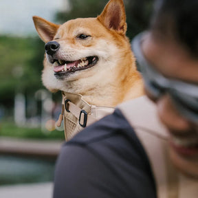 Sac à dos de transport pour chien - Urban Roaming