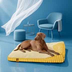 Lit orthopédique pour chien rectangulaire extra large lavable - Sieste rafraîchissante