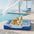 Lit Sofa pour Chien Grand et Lavable Orthopédique Tapis Rafraichissant Chien - Extérieur