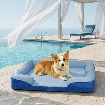 Lit Sofa pour Chien Grand et Lavable Orthopédique Tapis Rafraichissant Chien - Extérieur