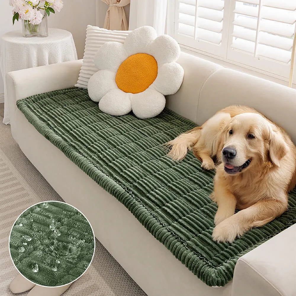 Housse de canapé pour chien et chat imperméable, tapis de protection doux en flanelle respirante, antidérapant et confortable