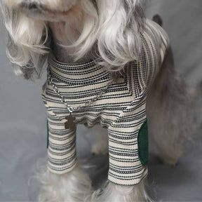 Pull en tricot extensible et chaud à rayures vintage chic pour chien